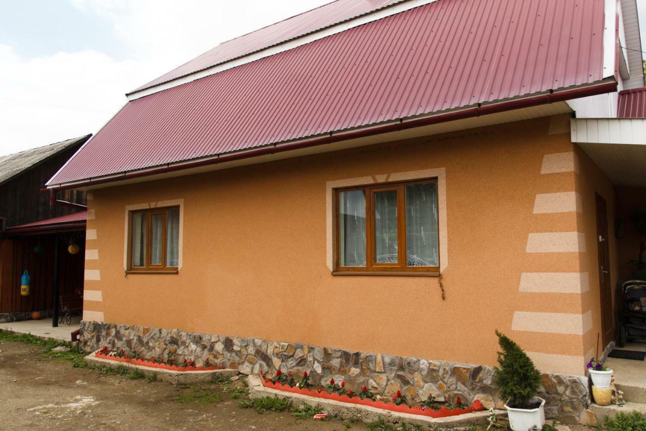 Карпатське Сяйво Hotel Synevyr Exterior photo